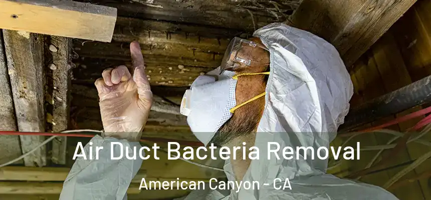 Air Duct Bacteria Removal American Canyon - CA