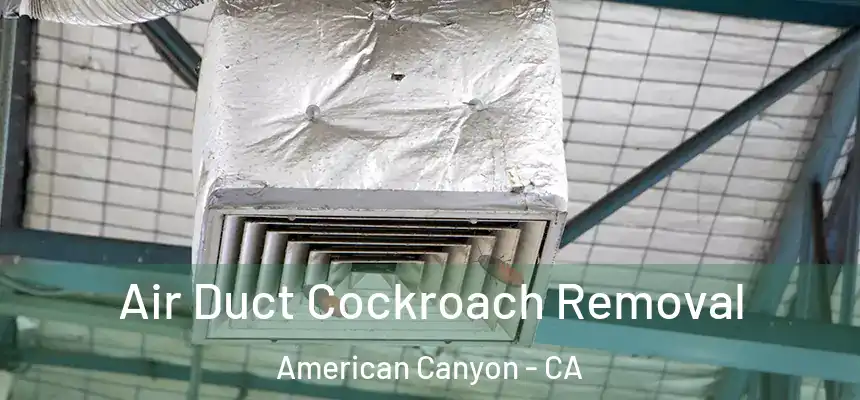  Air Duct Cockroach Removal American Canyon - CA