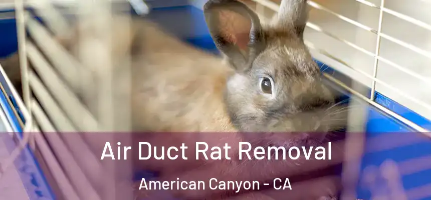  Air Duct Rat Removal American Canyon - CA