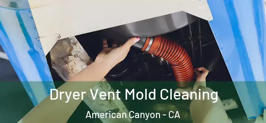  Dryer Vent Mold Cleaning American Canyon - CA