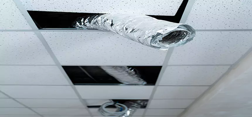 Our Air Duct Pet Hair Removal Services in American Canyon, CA