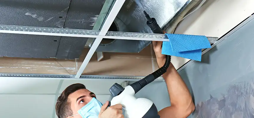 Our Air Duct Rodent Removal Services in American Canyon, CA