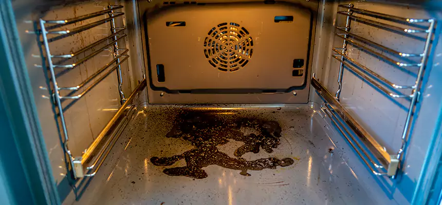 Our Dryer Vent Mold Cleaning Services in American Canyon, CA