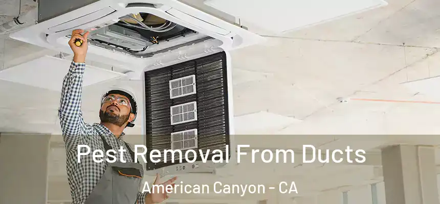  Pest Removal From Ducts American Canyon - CA
