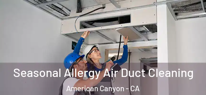 Seasonal Allergy Air Duct Cleaning American Canyon - CA