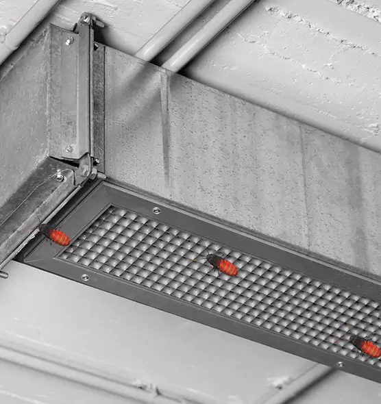 About Air Duct Cockroach Removal in American Canyon, CA