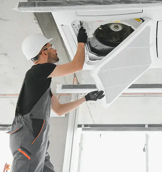 About Air Duct Rodent Removal in American Canyon, CA