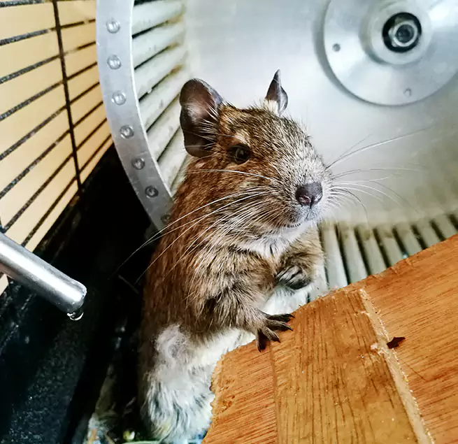 Why Homeowners & Businesses Trust Us American Canyon, CA?