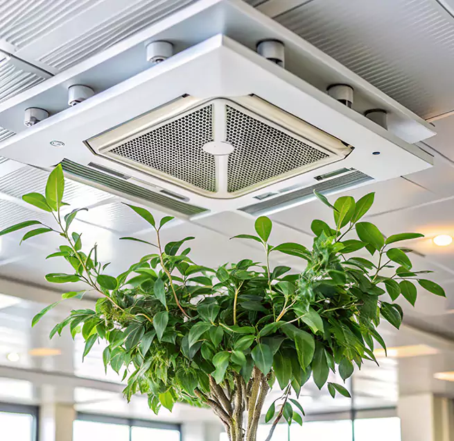 Why Homeowners & Businesses Trust Us in American Canyon, CA